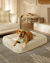 Cream Boucle Bolster Pet Bed