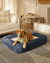 Navy Boucle Bolster Pet Bed