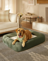 Olive Green Boucle Bolster Pet Bed