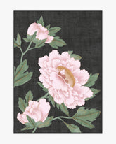 Haru Charcoal Rug by Gracie