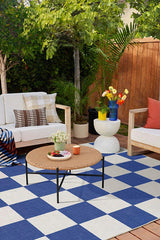 Jaque Checkered Blue Outdoor Rug