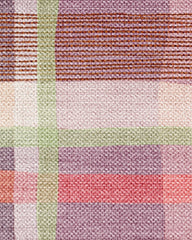 Margot Plaid Berry Multicolor Outdoor Rug